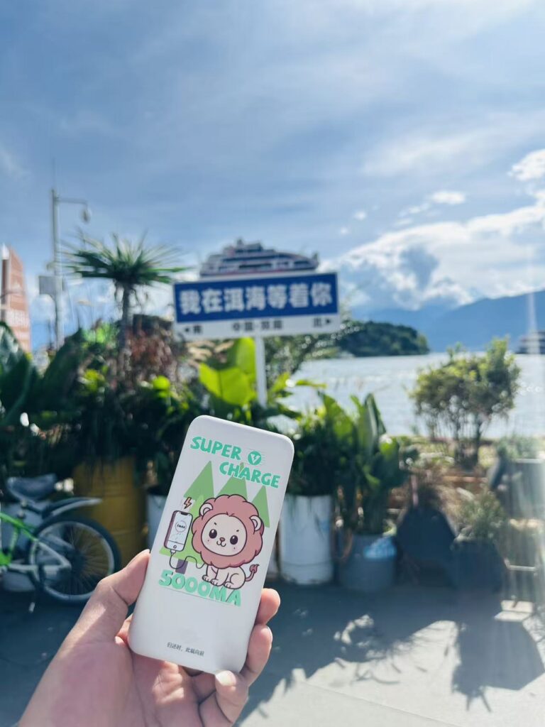 Shared Power Bank Picture