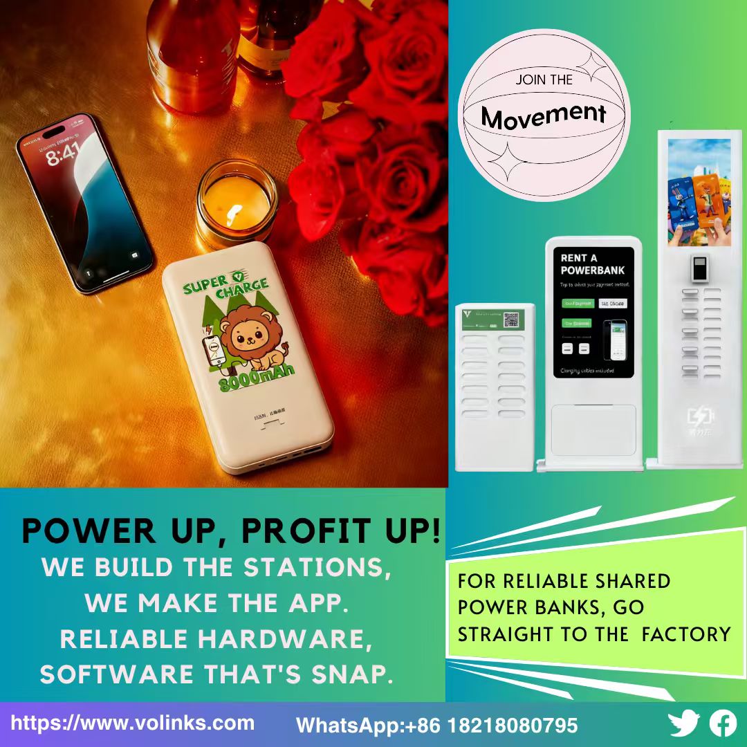 5. How does the shared power bank business make money?