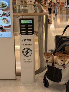 Shared Charging Solution